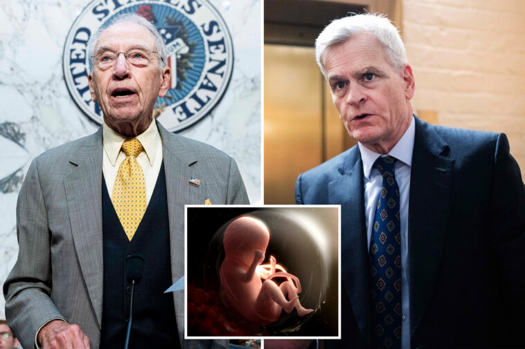 pro-lifers-push-investigation-into-nih-using-aborted-baby-organs-and-tissue-in-research
