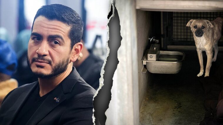 el-sayed-in-the-hot-seat-after-‘sickening’-animal-control-record-goes-viral-on-social-media
