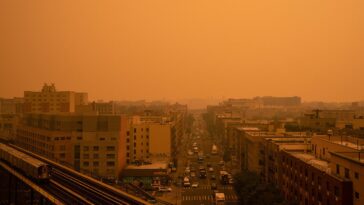 wildfires,-heat-waves-and-blackouts-exposed-the-green-agenda’s-dangerous-flaws