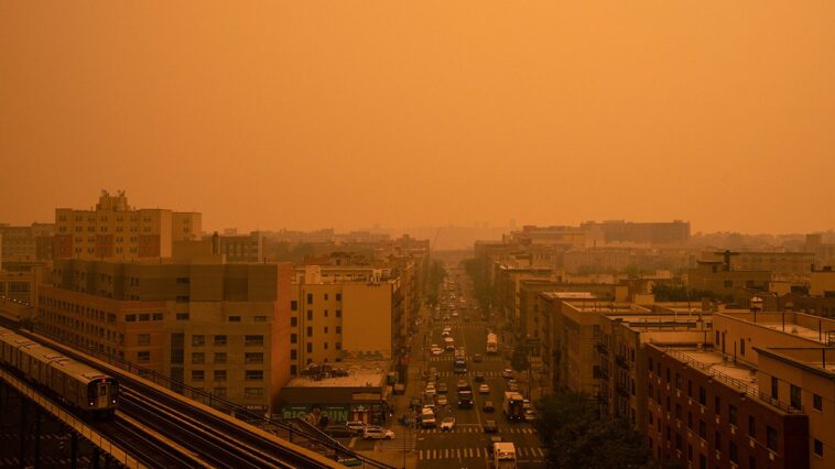 wildfires,-heat-waves-and-blackouts-exposed-the-green-agenda’s-dangerous-flaws