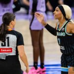 wnba-player-who-leveled-sophie-cunningham-targets-innocent-fan,-plays-victim-again