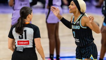 wnba-player-who-leveled-sophie-cunningham-targets-innocent-fan,-plays-victim-again
