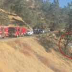 couple’s-intense-fight-causes-partner-to-drive-car-off-a-cliff