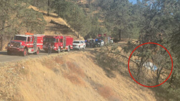 couple’s-intense-fight-causes-partner-to-drive-car-off-a-cliff