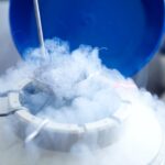 freezing-eggs-is-one-step-toward-a-fatherless-dystopia