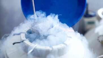 freezing-eggs-is-one-step-toward-a-fatherless-dystopia