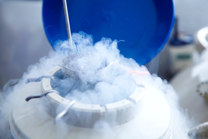 freezing-eggs-is-one-step-toward-a-fatherless-dystopia