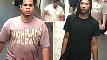 good-samaritan-stabbed-on-nyc-subway-platform-while-trying-to-stop-trio-harassing-old-man