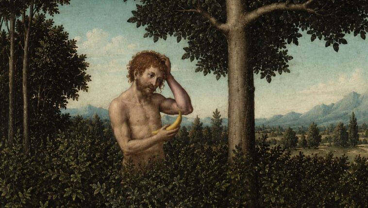 after-observing-adam-for-two-minutes,-god-decides-man’s-going-to-need-a-helper