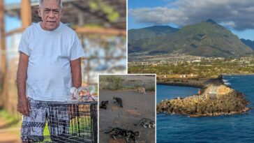 beloved-cat-caretaker-brutally-beaten-to-death-while-feeding-pets-in-hawaii