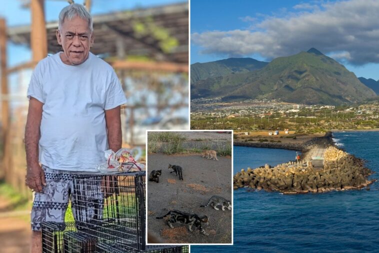 beloved-cat-caretaker-brutally-beaten-to-death-while-feeding-pets-in-hawaii