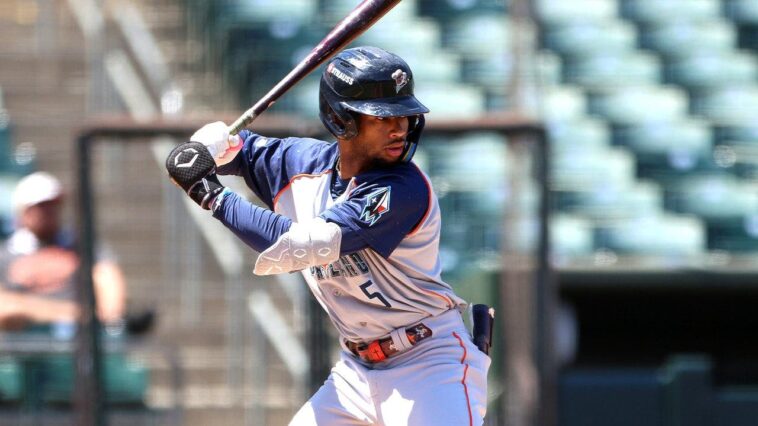 minor-league-team-rolls-out-‘nothing-night’-with-no-music,-videos,-or-public-address-announcements