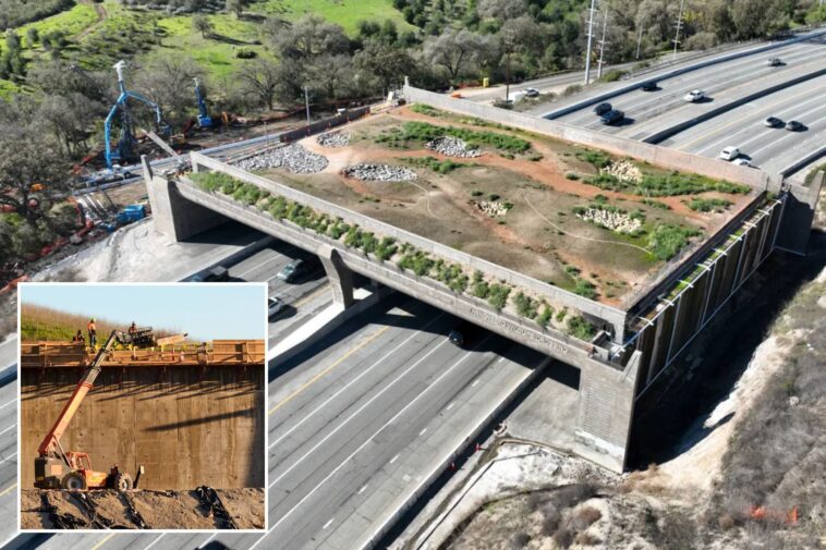 major-road-closed-for-$114m-wildlife-crossing-construction-with-delays-expected