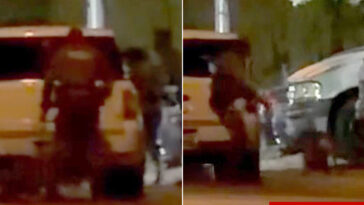 horrific-video-appears-to-show-las-vegas-cop-kicking-and-dragging-police-dog-during-arrest