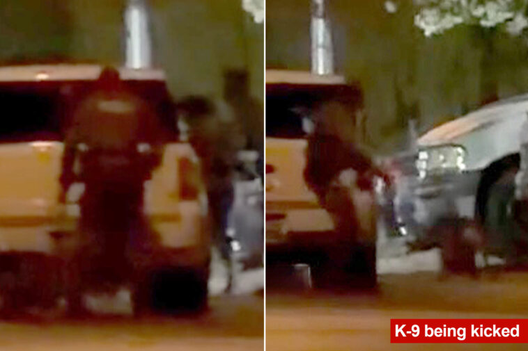 horrific-video-appears-to-show-las-vegas-cop-kicking-and-dragging-police-dog-during-arrest
