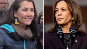 alaska-democrat-turns-down-support-from-kamala-harris-ahead-of-senate-primary 