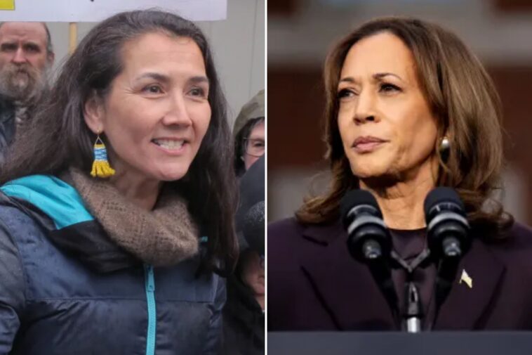 alaska-democrat-turns-down-support-from-kamala-harris-ahead-of-senate-primary