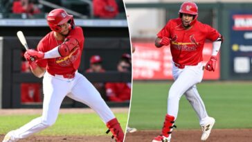 cardinals-calling-up-prospect-joshua-baez-in-middle-of-tight-playoff-push
