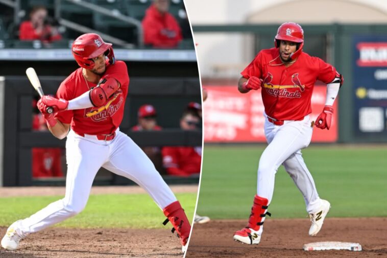 cardinals-calling-up-prospect-joshua-baez-in-middle-of-tight-playoff-push