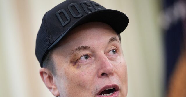 ‘status-oriented-animals’:-michael-saylor-disputes-elon-musk’s-prediction-that-ai-will-make-money-irrelevant
