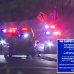 mass-shooting-at-virginia-state-university-leaves-several-wounded,-puts-campus-on-lockdown