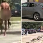 houston-police-shoot-gunman-who-indiscriminately-fired-on-vehicles,-injuring-mother-and-daughter