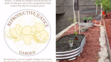 taxpayer-funded-ny-college-hosts-‘reproductive-justice’-garden-of-abortion-inducing-plants