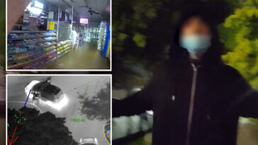 watch:-wild-video-of-burglary-arrest-in-nyc-shows-chopper-pursuit