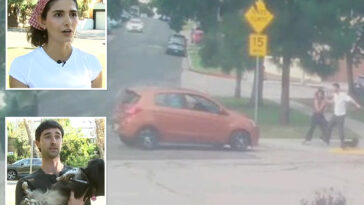 terrifying-moment-deranged-driver-tries-to-run-over-couple-and-their-dog-at-la-park:-‘bet-you’re-f—ing-scared-now’