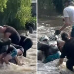 woman-miraculously-survives-being-sucked-through-flood-tunnel-as-rescuers-become-victims-themselves-trying-to-pull-her-out