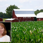 wisconsin-dem-calls-out-party-for-abandoning-rural-voters:-‘they’re-out-of-touch’
