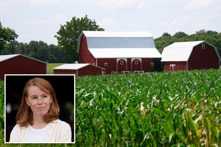 wisconsin-dem-calls-out-party-for-abandoning-rural-voters:-‘they’re-out-of-touch’