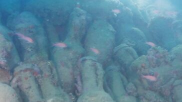 roman-shipwreck-believed-to-be-over-2,000-years-old-discovered-in-sicily