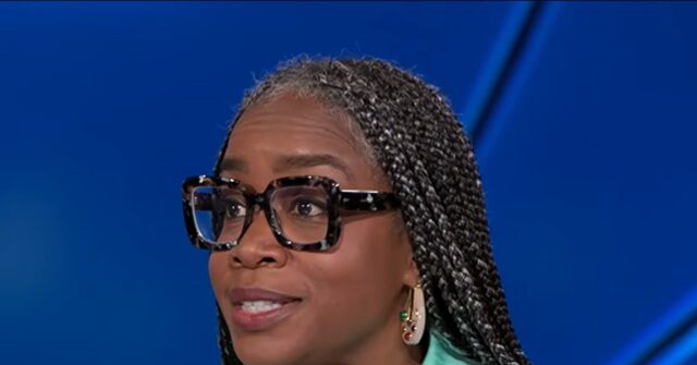 boston-globe’s-atkins-stohr:-dems-trying-for-‘big-tent’-including-issues-of-woke-1.0