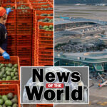 news-of-the-world:-what-you-missed-this-week-internationally