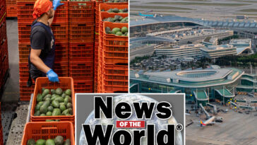 news-of-the-world:-what-you-missed-this-week-internationally