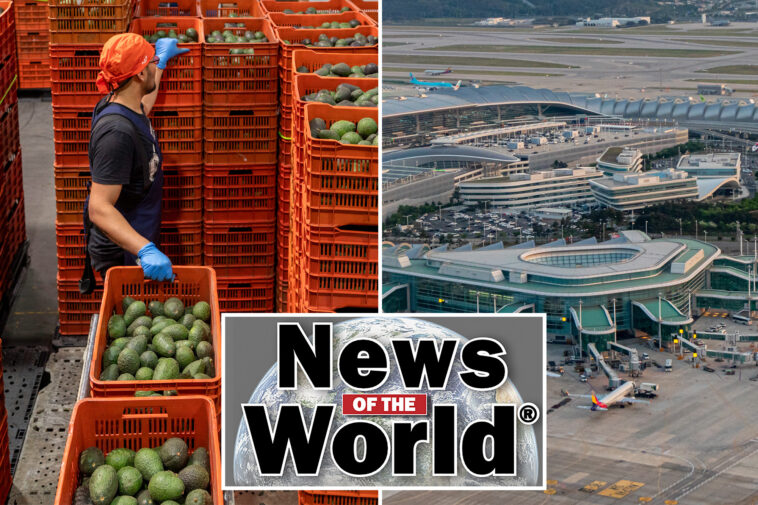 news-of-the-world:-what-you-missed-this-week-internationally