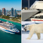 the-bizarre-and-hilarious-chaos-on-cruise-ships-exposed-—-including-pirates,-pot,-and-polar-bears