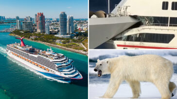 the-bizarre-and-hilarious-chaos-on-cruise-ships-exposed-—-including-pirates,-pot,-and-polar-bears