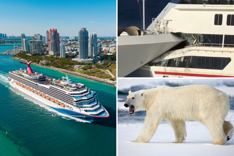 the-bizarre-and-hilarious-chaos-on-cruise-ships-exposed-—-including-pirates,-pot,-and-polar-bears