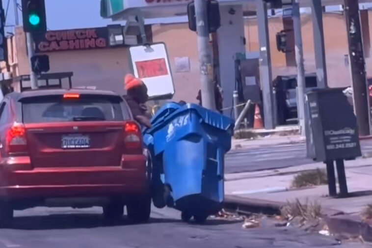 bizarre-moment-trashcan-bandits-seen-dragging-massive-bins-from-moving-car