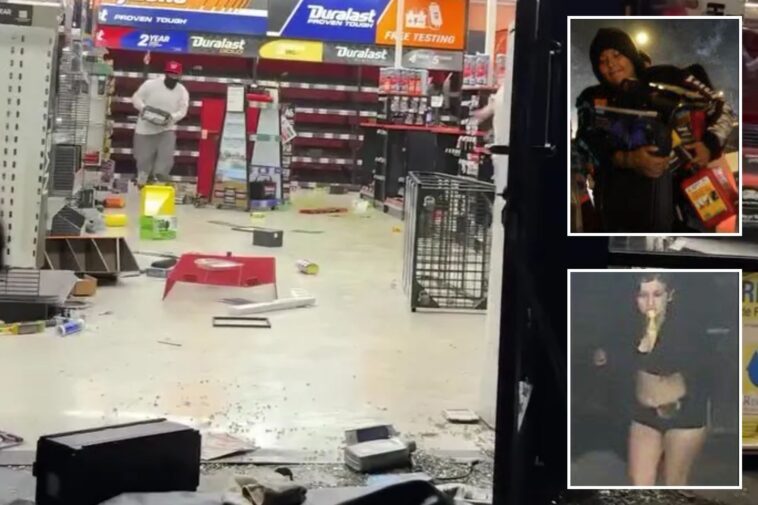 mob-of-looters-who-struck-la-autozone-twice-in-24-hours-pictured-by-police