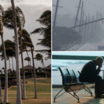 travel-chaos-at-lax-as-hurricane-cancels-hawaii-bound-flights