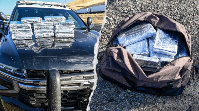 routine-california-traffic-stop-leads-to-seizure-of-30-pounds-of-cocaine-worth-more-than-$800k