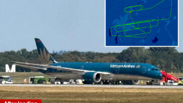 vietnam-airlines-flight-forced-to-dump-fuel,-return-to-airport-after-tail-strikes-runway