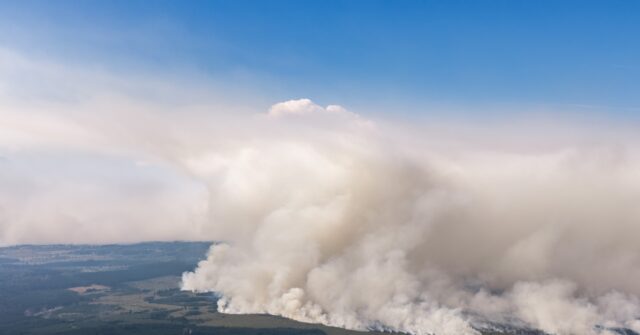 hundreds-forced-to-evacuate-amid-massive-wildfire-in-belgium