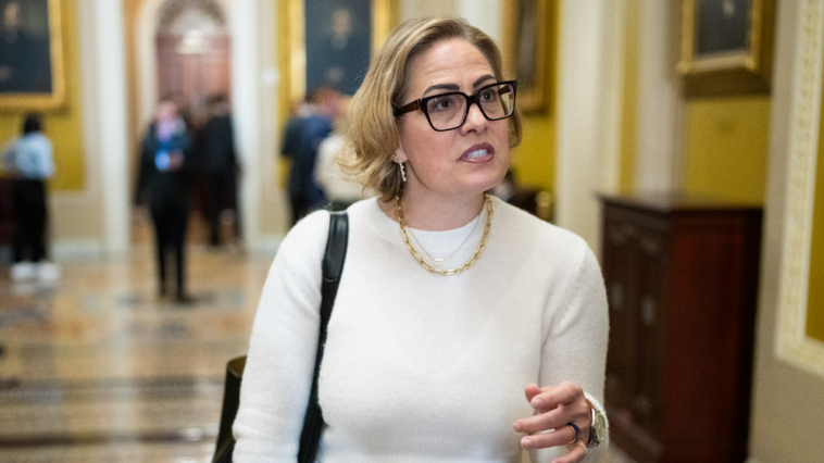 jonathan-turley:-former-sen-kyrsten-sinema-fights-affair-lawsuit-invoking-centuries-old-marriage-tort
