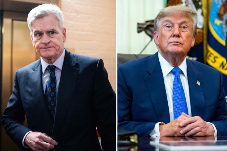 gop-sen.-bill-cassidy-slams-trump’s-childhood-vaccine-order,-warns-kids-may-die:-‘crazy,-stupid’