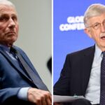 collins-and-fauci-and-the-gop’s-missed-opportunity