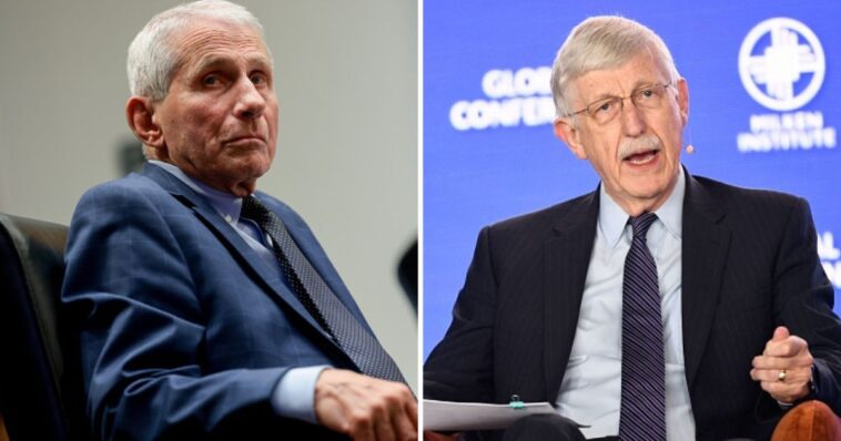collins-and-fauci-and-the-gop’s-missed-opportunity